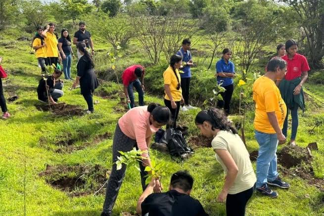 Tree Plantation Initiatives